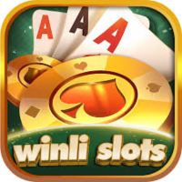 Winli Slots Game