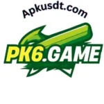 PK6 Game logo